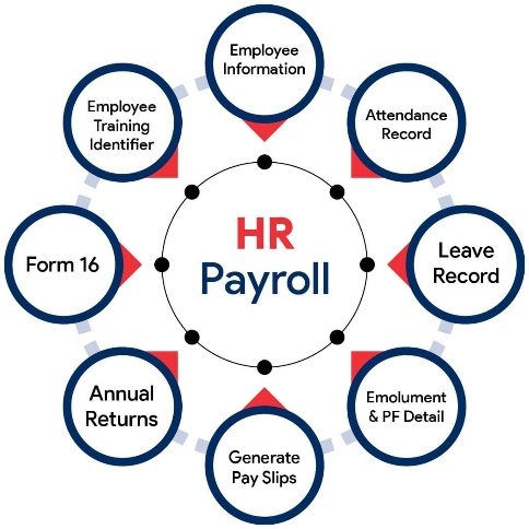 Nexora PayrollPro illustration